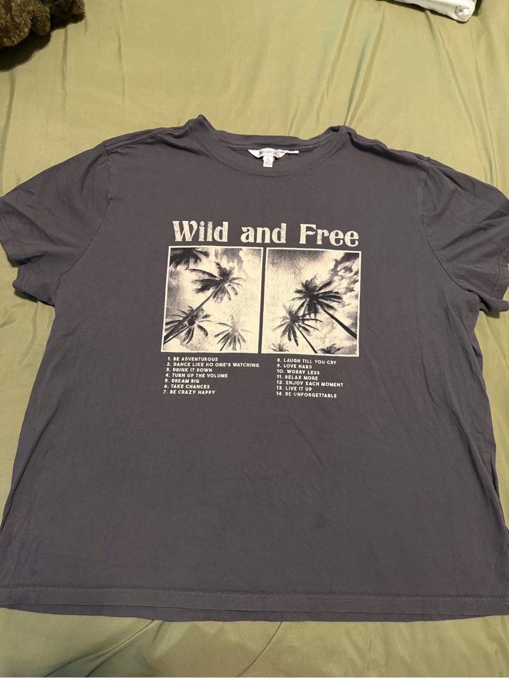 Wildfox Men's 'Wild and Free' Tee — Charcoal